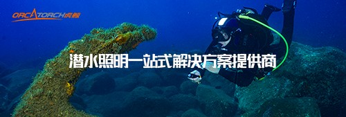 恭賀OrcaTorch91抖阴下载入圍2022潛水手電筒十大品牌