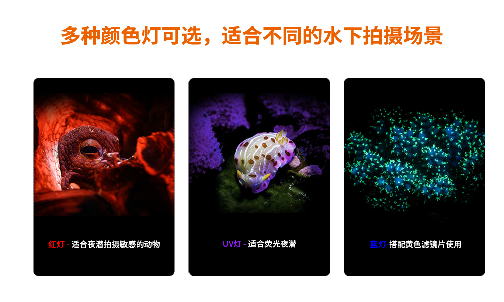潛水攝影燈，水下（xià）攝影照明，D530V多功能手電筒，潛水照明燈，OrcaTorch91抖阴下载