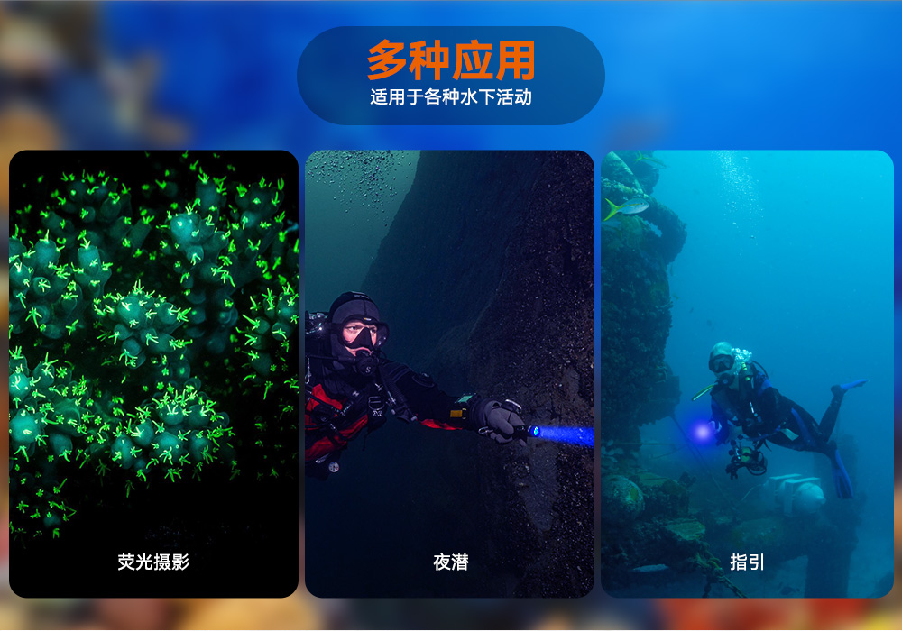 D530藍光手電筒 潛水攝(shè)影照明_潛水照明_水下攝影照明_潛水攝影補光燈_ 91抖阴下载OrcaTorch
