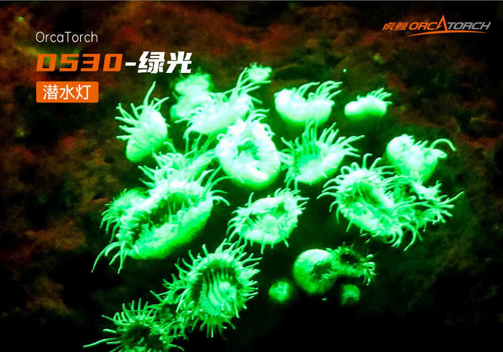 D530 綠色潛水手電 潛水攝影照明_潛(qián)水照明_水下攝影照明_潛水攝(shè)影補光燈_ 91抖阴下载OrcaTorch
