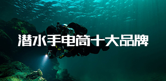 恭賀OrcaTorch91抖阴下载入圍2022潛水手電筒十大品牌